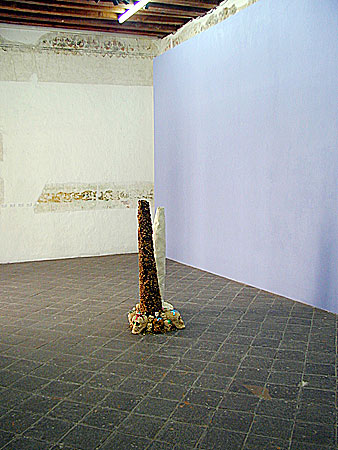 Oaxaca 2007