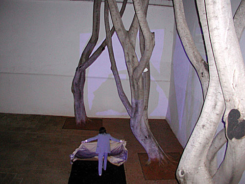 Oaxaca 2007
