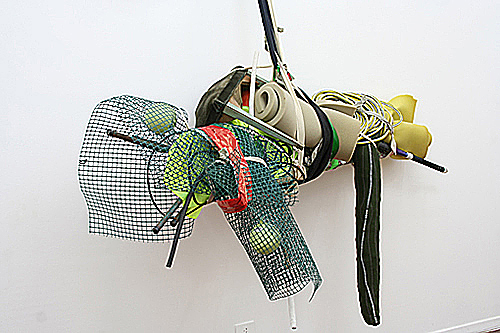 Senrdrós 2006