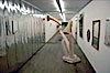 Field Institut
