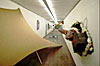 Field Institut