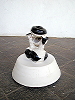 Oxaca 2007